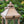 Wooden Candle Lantern Decorative, Hurricane Lantern Holder