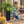 Planter For Outdoor