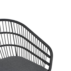 Terry Chair Set of 2