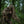 M-Tac Alder Camouflage Suit Multicam