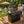 46-Inch 75300 BTU 6-Burners Deluxe Stainless Steel Gas Outdoor Kitchen Barbecue Grill
