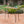 Outdoor Bar Table with Wood Tabletop and Iron Hairpin Legs - Black / Teak