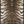 Hide GC_CHD1001 Cowhide-Patterned Area Rug
