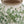 7.7x7.7x14.6' White Ceramic Flower Vase with Green Floral Pattern
