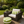 4 Pack Outdoor Lumbar Pillow with Inserts