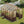 8x10 FT Greenhouse Kit