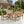 7 Pieces Acacia Wood Outdoor Dining Set