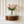Solid Wood Lunar 1-Drawer Floating Nightstand