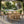 7-Piece Acacia Wood Outdoor Dining Set