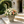 MGO Garden Planter - Rust Finish