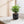 Handmade Garden Pots & Planters
