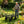 Wagon Cart Garden Cart Trucks Make It Easier to Transport Firewood