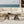 Hawthorne - Trestle Table