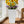 Indoor Outdoor Planter With Automatic Watering System