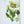 Botanical Flower Wall Art, Home Decor For Living Room Dining Room, Bedroom, Hallway (Set of 4) - White / Blue