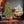5FT The Full-Bodied Pre-Lit Evergreen Christmas Tree