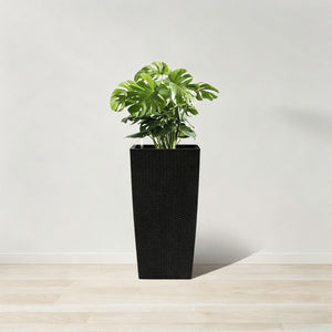 Indoor Outdoor Planter With Automatic Watering System