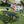 Outdoor Steel Picnic Rectangular Table With Umbrella Pole