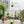 Metal Garden Arch