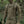 M-Tac Shoulder Straps Elite for War Belts