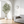 8FT Artificial Olive Tree With Big Decorative