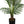 57-Inch Artificial Palm Tree with Real-Touch Leaves - Green