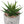 Artificial Succulent Plants Set of 2 with Gray Marble-Look Pots - Dark Green