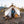 8'x10' Alpha Wall Tent
