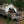 8'x10' Alpha Wall Tent