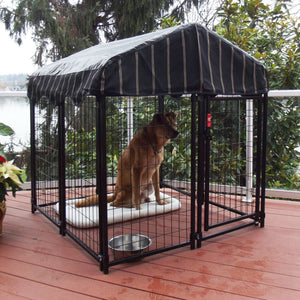 Lucky Dog 4' x 4' x 4.5' Covered Wire Dog Fence Kennel Pet Play Pen (2 Pack)