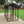 Lucky Dog Uptown Large Outdoor Covered Kennel Heavy Duty Dog Fence Pen (4 Pack)