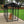 Lucky Dog Uptown Large Outdoor Covered Kennel Secure Fenced Pet Dog Crate, Black