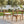 Outdoor Dining Chairs Set of 2, Acacia Wood Patio Chairs with Cushions