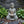 Magnesium Oxide Buddha Statue