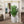 Flowerpot, Planter For Patio, Garden, Windowsill