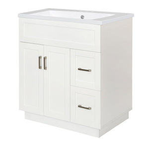 Bathroom Vanity With 2 Doors, 2 Drawers, Adjustable Shelf, Hidden Slides & Soft Close Hinges