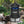 Dynatrap DT2000XL Full Acre Corded All Weather Mosquito and Flying Insects Trap - TRAPSKI
