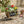 Farmhouse Wheelbarrow Planter with Flower Market Sign