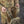 M-Tac Shoulder Damper for Cuirass Plate Carriers