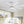 Ceiling Fan With Dimmable LED Light, 8 Blades, Reversible DC Motor, Remote Control