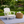 4 Pack Outdoor Lumbar Pillow with Inserts