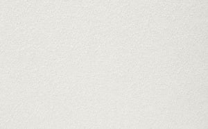 Clayten - Side Chair (Set of 2) - Beige