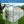 Polycarbonate house Raised Base And Anchor Aluminum Heavy Duty Walk-In houses For Outdoor Backyard In All Season