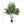 7FT Artificial Willow Tree Indoor Faux Greenery Plant