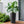 Planter For Outdoor