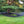 DeWitt P6 Pro 5 5oz 6' x 250' Commercial Landscape Weed Barrier Ground Fabric