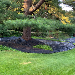 DeWitt P6 Pro 5 5oz 6' x 250' Commercial Landscape Weed Barrier Ground Fabric