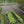 DeWitt Sunbelt Woven Weed Barrier Landscape Fabric, 6 Foot x 300 Foot (6 Pack)