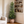 5FT Artificial Real Touch Norfolk Pine Tree - Potted Plants