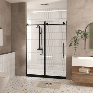 Frameless Shower Door With Handle